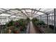 PLOITATION HORTICOLE AVEC COMMERCE DE FLEURISTE