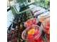 Food truck italien à vendre à Limonest