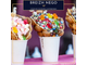 A vendre FDC glacier snack en Morbihan