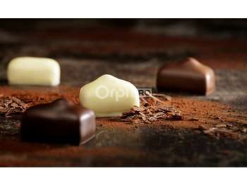 Vente fonds de chocolatier Leonidas à Pluneret