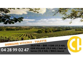 Vente domaine viticole 20.8 ha à Visan Tulette