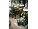 A vendre jardinerie fleuriste clé en main en Orne