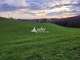 Vente exploitation agricole structure intégrale 15