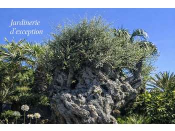 Cession de parts sociales – Jardinerie rentable