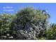 Cession de parts sociales – Jardinerie rentable