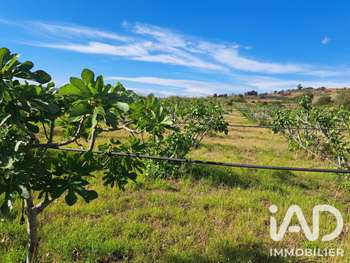 Vente propriété agricole arboricole 2.3ha Tourbes