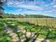 AV domaine viticole en agriculture bio Tourouzelle