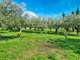 AV domaine viticole en agriculture bio Tourouzelle