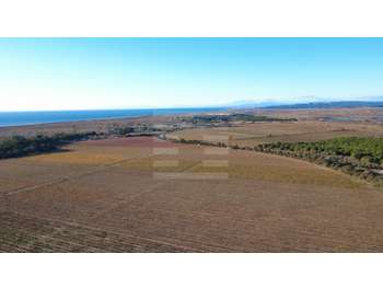Ilot viticole 17ha irriguée à vendre sur Béziers