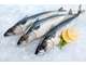 Vente commerce de poissons en btob et btoc dept 13