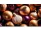 Cession 100 % actions entreprise de distribution