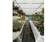 Vente jardinerie fleuristerie horticulture Nord 33