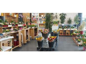 Vente FDC fleuriste bel empl Brive-la-Gaillarde