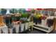 Vente FDC fleuriste bel empl Brive-la-Gaillarde