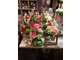 A vendre FDC fleuriste décoration au Pas de Calais