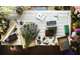 Vend fleuriste et articles décoratifs au Cotentin