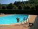 A vendre camping 3 *** 90 empl au Puy en Velay