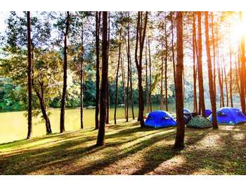 Camping de charme à vendre en Pyrénées-Orientales
