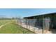 Vente FDC pension canine à 40 min de Dijon
