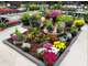Jardinerie à vendre sur axe très passant 41