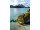 MOTU (ILE PRIVEE ) ONLY YOU BORA BORA