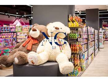 Vente magasin de jeux et jouets en Morbihan Sud