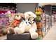 Vente magasin de jeux et jouets en Morbihan Sud