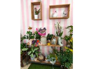 Vente  Magasin  Cadeaux - Fleurs Le Buisson-de-Cadouin