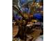 Camping-Village vacances-Restaurant Sud France