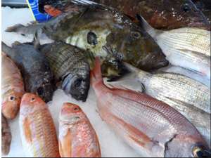 Vente  Magasin  Alimentation Rambouillet