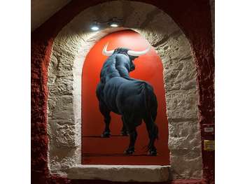 Hôtel historique à reprendre dans le Gard
