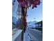 AV bar restaurant emplacement N°1 Andorre