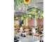Restaurant du midi – CA 880 K€ HT – Ecully/Lyon