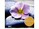 AV salon de coiffure bar à ongles massage Yvelines