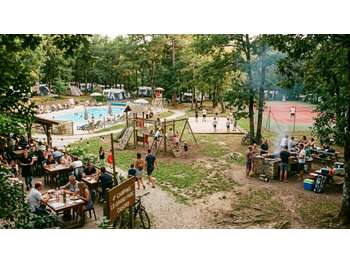 Vente camping 4 **** en parc arboré dans le Lot