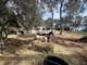 Vente haras 12 hectares 6 parcelles à Mougins