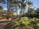 Vente haras 12 hectares 6 parcelles à Mougins