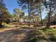 Vente haras 12 hectares 6 parcelles à Mougins