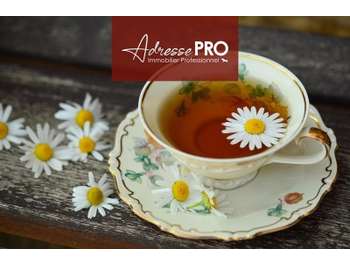 Vente salon de thé pâtisserie à Montpellier