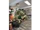 Vente FDC fleuriste décoration à Plan de Cuques
