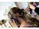 Vente salon de coiffure refait à neuf à Annecy