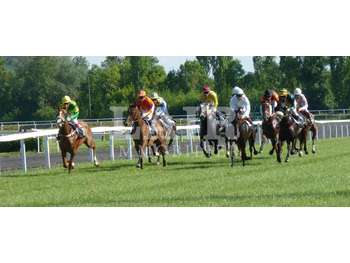 A vendre bar PMU entre Laval et Château-Gontier