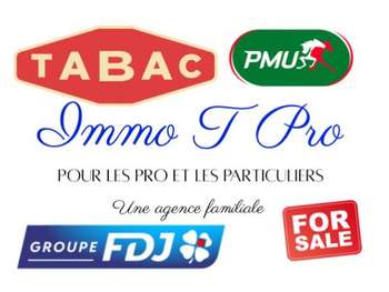 Vente magnifique civette en ville ensoleillée 13