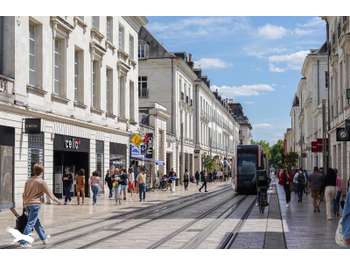 Vente restaurant asiatique empl n°1 à Tours
