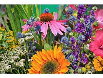 Vend fonds de fleurs et décoration dept Manche