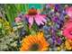 Vend fonds de fleurs et décoration dept Manche