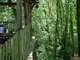 A vendre 2 cabanes haut de gamme en vignoble 33