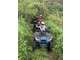 Vente activité quad & buggy rentable à la Réunion