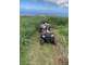 Vente activité quad & buggy rentable à la Réunion