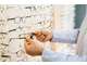 FDC opticien à vendre à Aix-les-Bains